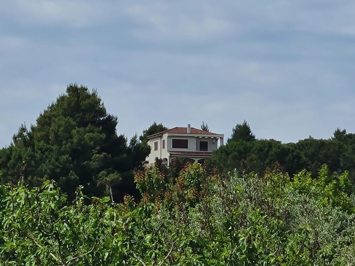 Alghero - House With Panoramic View Immersed In Full Nature エクステリア 写真